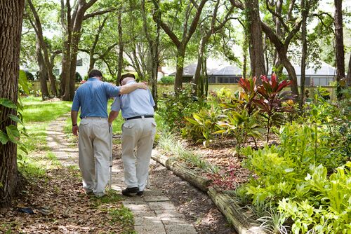 Two elderly men walk along a garden path