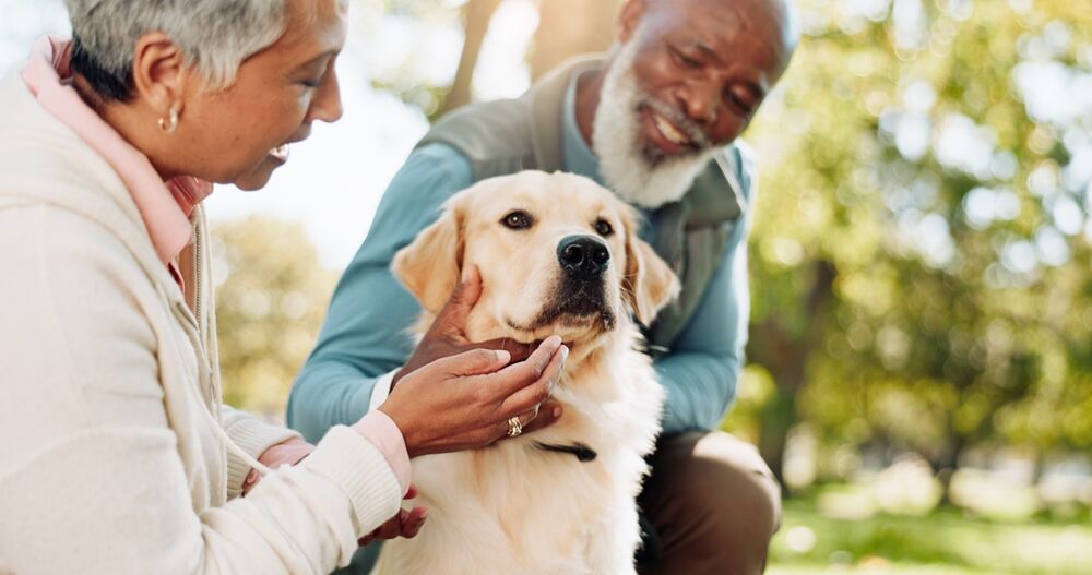 Elderly Unable to Care for Pets: What to Do